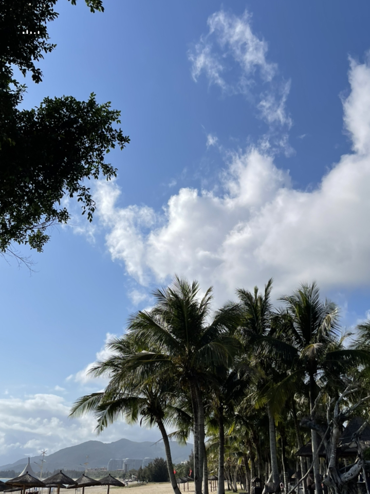海南，热带天堂的地理与文化全景