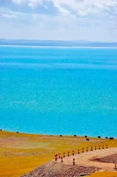 青海，梦想起航地，自信塑造未来