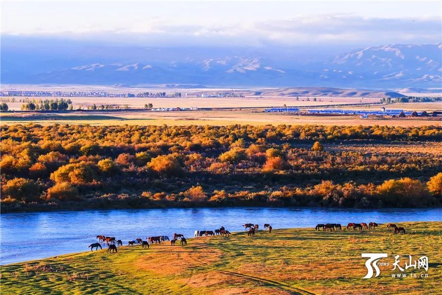 新疆大地的瑰宝，文化与自然的交响乐章